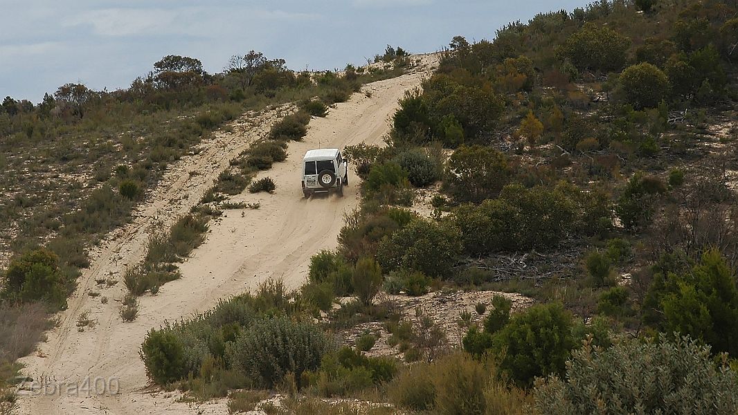 06-Rhino finds the dune a breeze.jpg